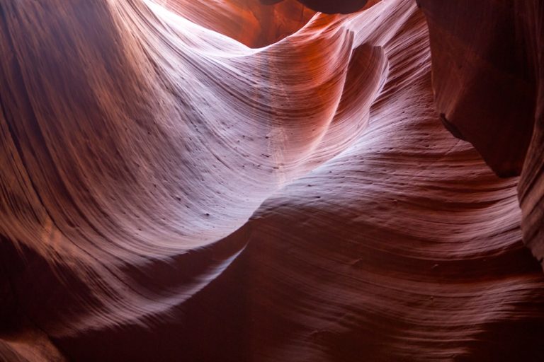 Embracing the Wild: A Journey to Discover the Beauty of the Outdoors