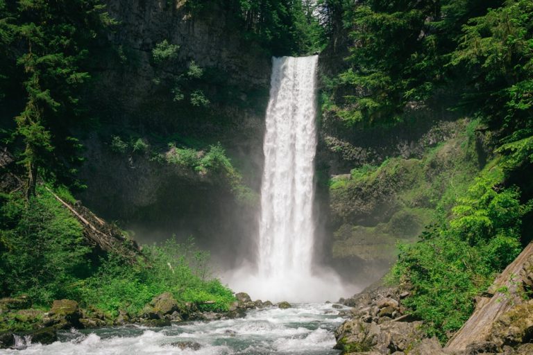 Embracing the Great Outdoors: A Budget-Friendly Adventure Awaits